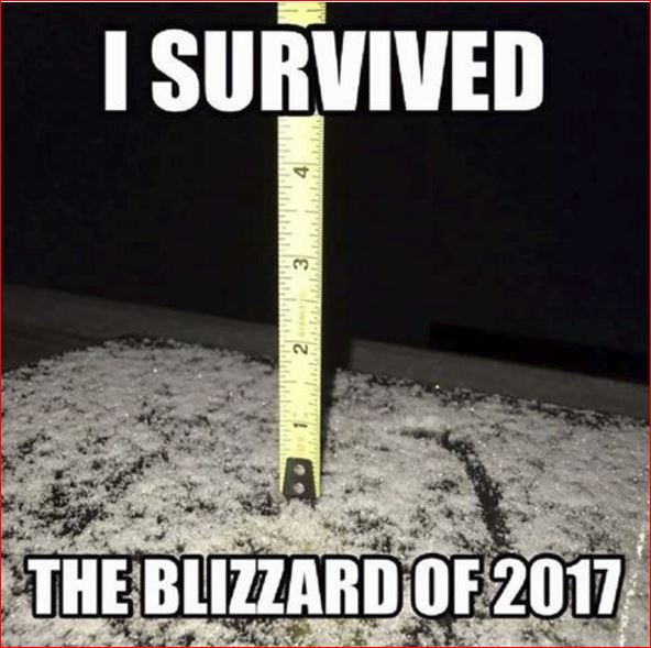 Blizzard.JPG